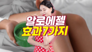 알로에젤 효과