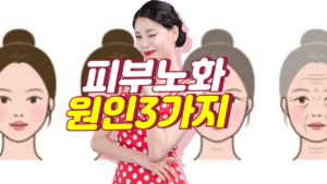 피부 노화는 왜?